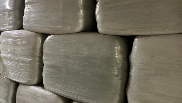 Haylage for Sale 